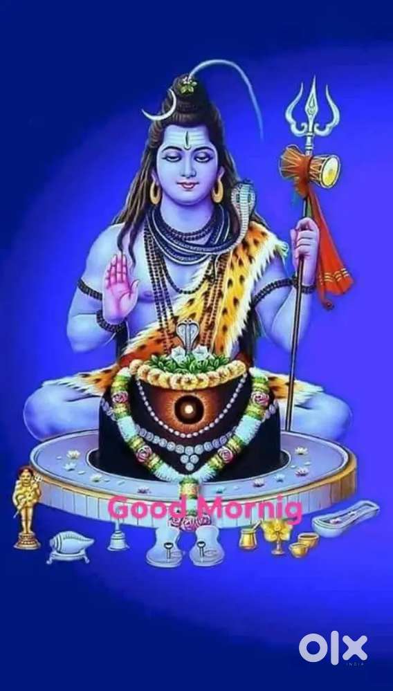 Catring ke liye 2 ladise ki jarurat he