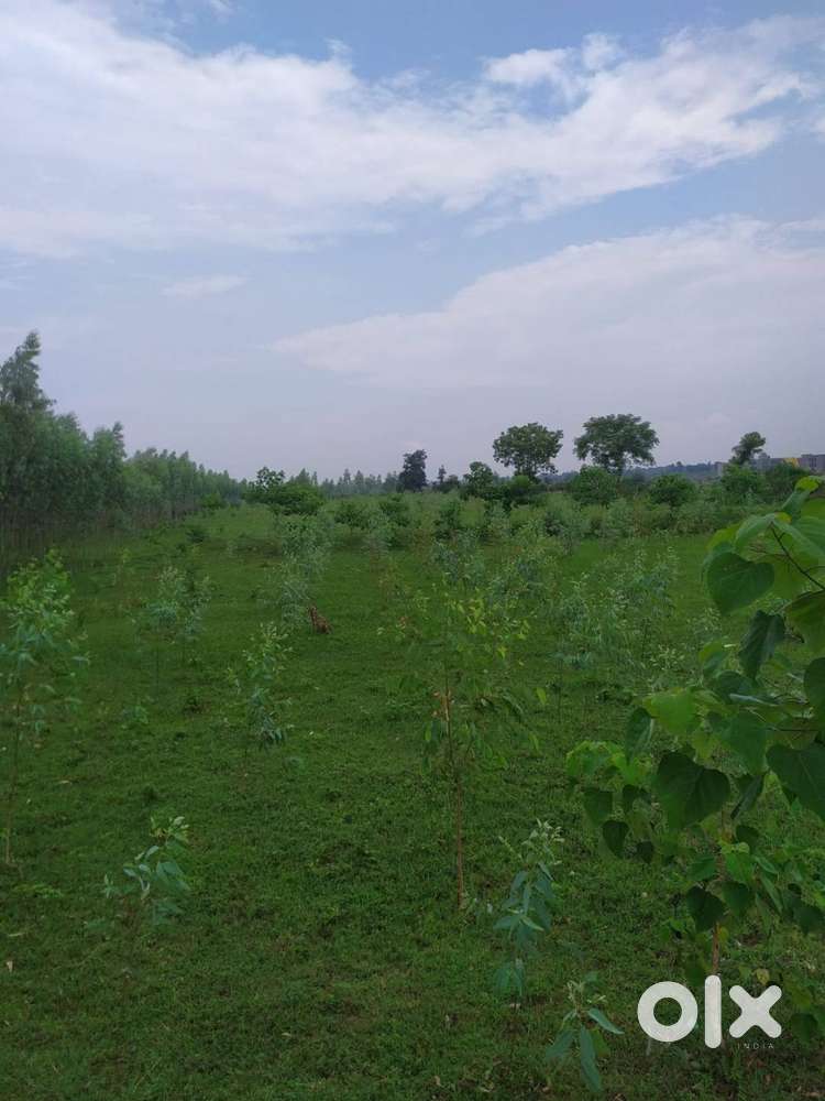 Agricultural Land for sale Kanki Ret Ghat  5.5 Acres