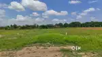 DC Converted Plots in Nature’s Green – Limited Availability, Book Now