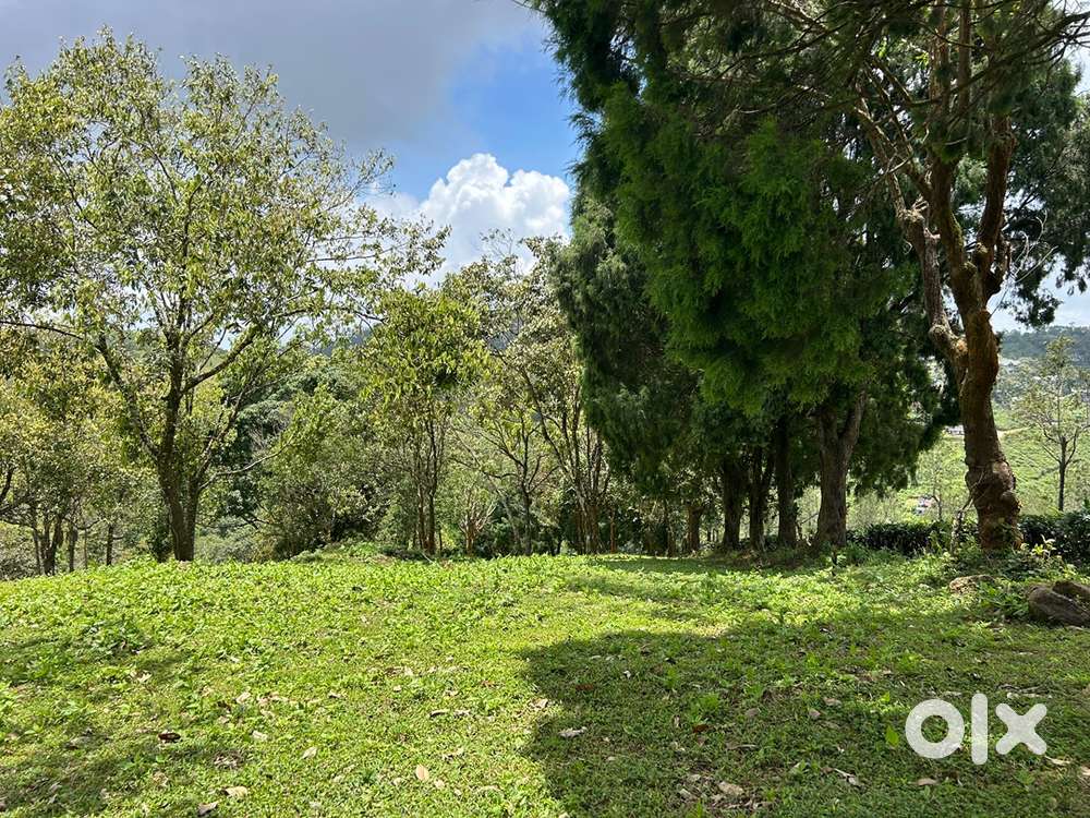 50 cent LA Pattayam land for sale near Kuttikkanam