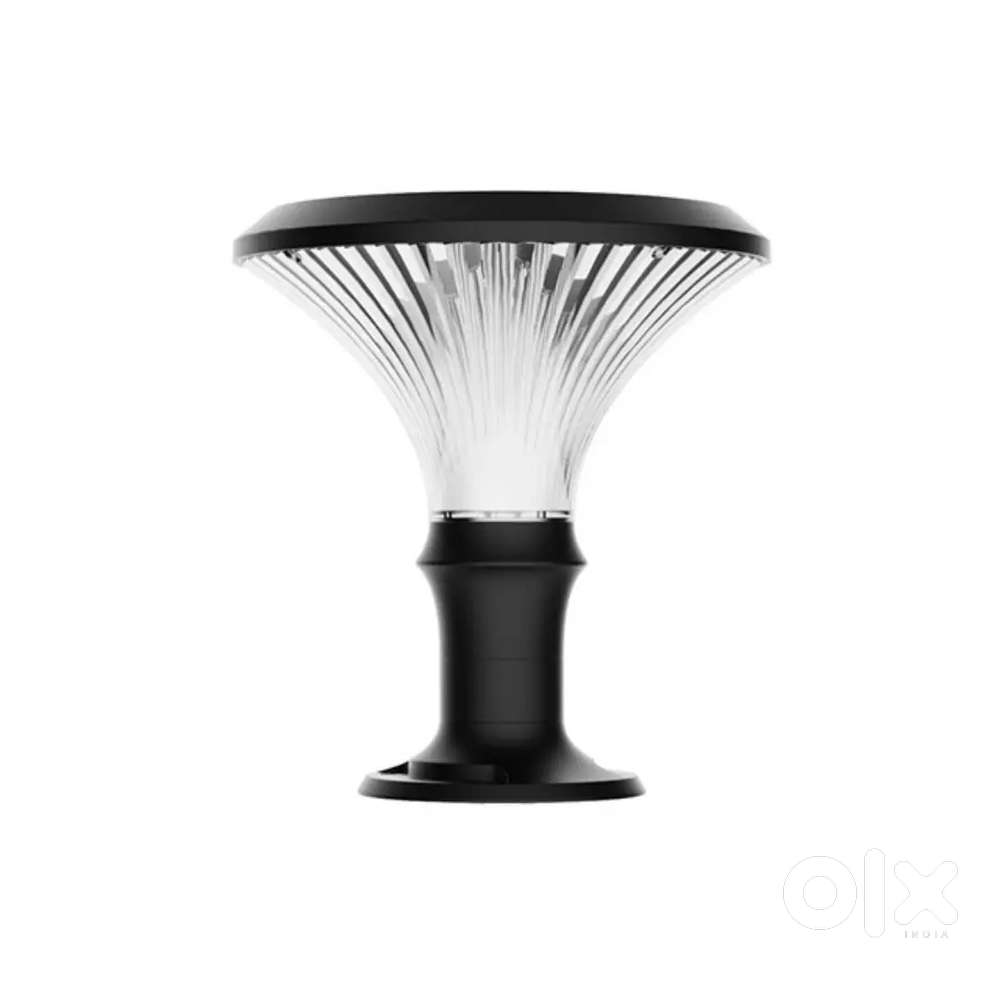 Delivery boy with Vehicle