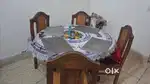 Dinning table