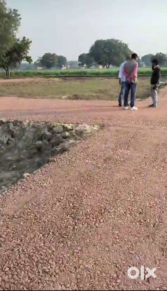 प्लॉट ही प्लाट, सीधी बात बिना बकवास, हमसे सस्ता कोई नहीं