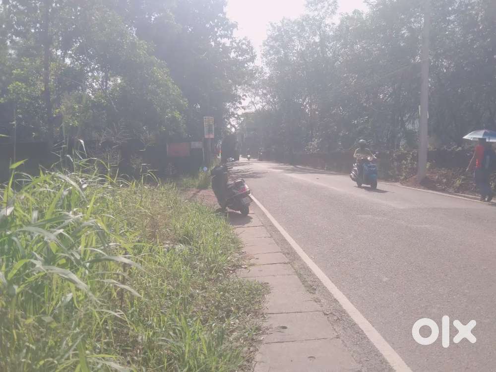 LAND FOR RENT 15 CENT KAKKANAD INFOPARK WALKING DISTENCE