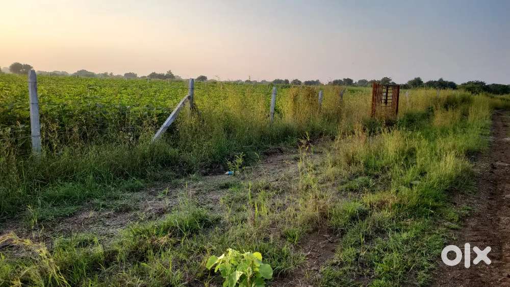 Agriculture lands for sale