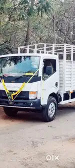 Office staff- Tiles Transport