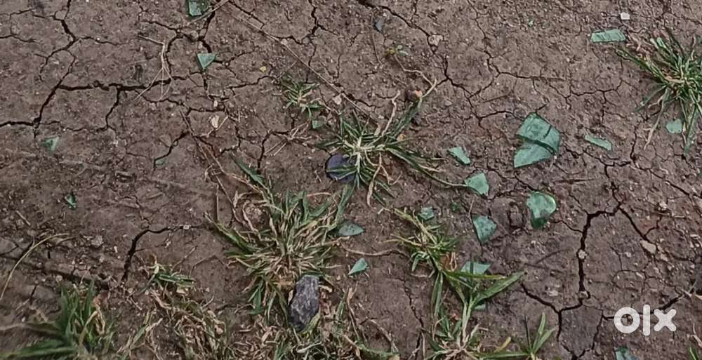 2400 saft polot sale Sarvjan society near by Danish Kunj Kolar road