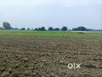 Commercial plot