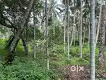22 cent land for sale