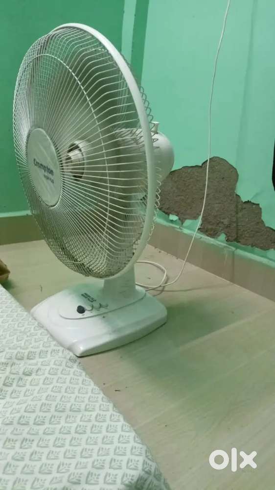 Table fan and induction