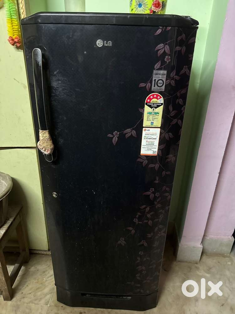 Lg fridge regrigirator