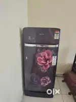 Refridgerator