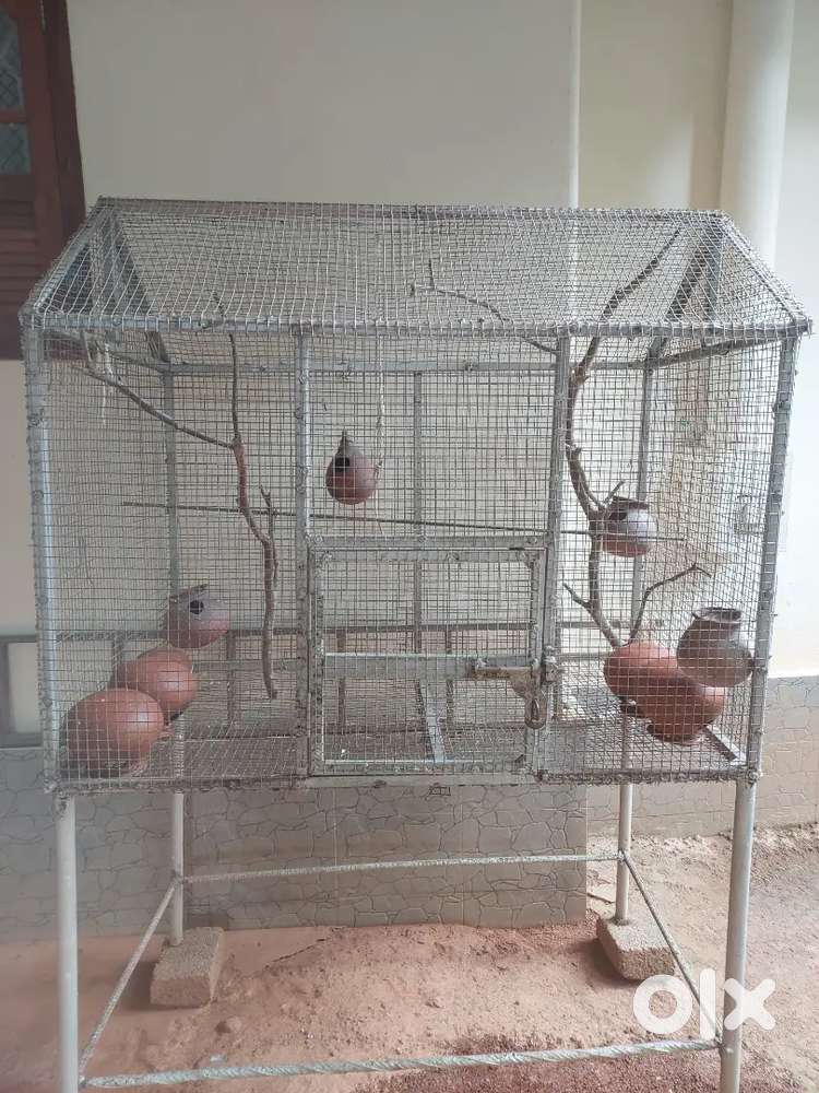 LoveBirds Cage