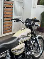 rx135
 model 1996
2026Jun paper available 
pulser disk
good condition