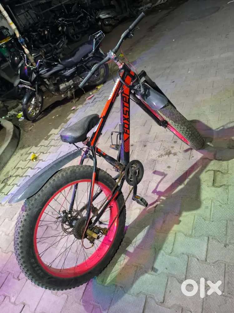 Cycle oky hai bss grea not work