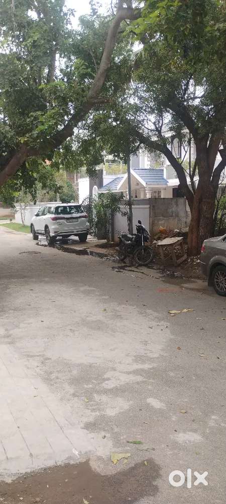 Comersil office for rent