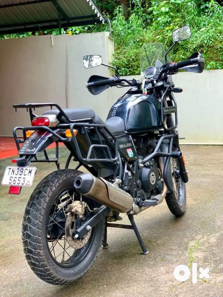 Well maintained Himalayan