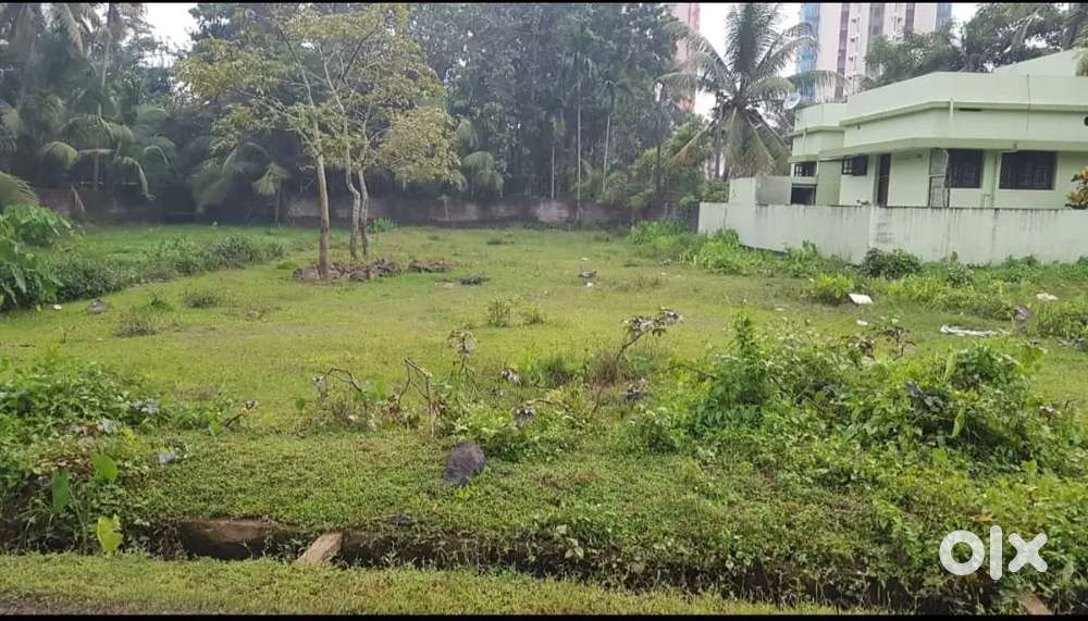 20 cents land (Purayidom) for Sale  near Vytila Hub