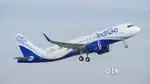 Need ground staff and ticketing in cochin international airport