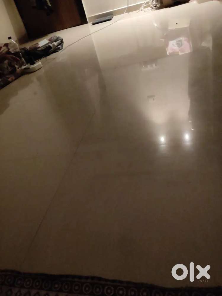 1 bachelor female required