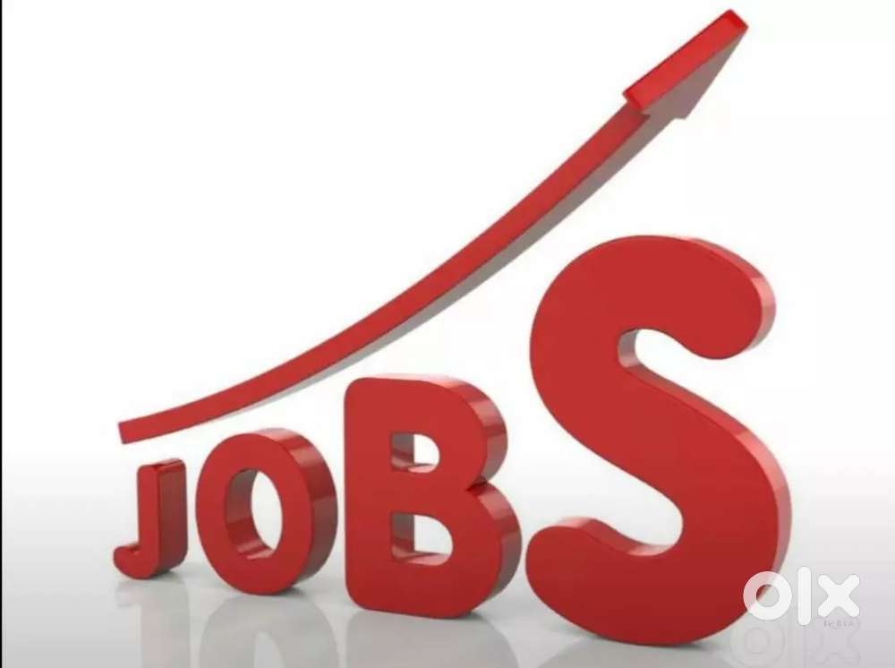 Work Opportunity for office work