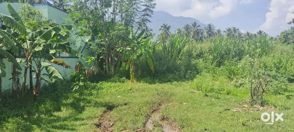 Residential plot for sale in narasimhanaikenpalayam