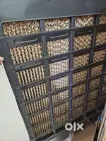 100 L Cooler