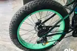 Fat tyres cycle