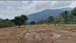 Farm land for sale at karamadai