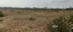 1acre Land for Sale in Vilankurichi