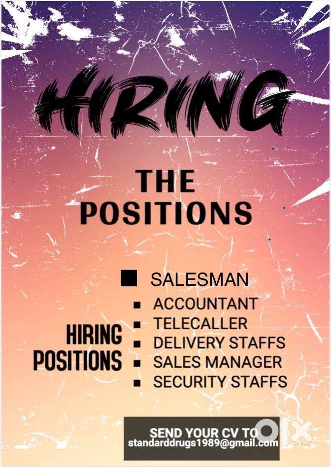 ACCOUNTANATS/DELIVEY/TELECALLER /COLLECTION Staffs