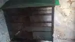 Birds pinjda