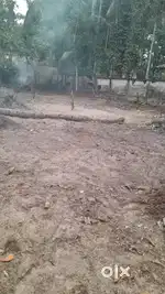 10 cent  land for sale  near kaayamkulam krishnapuram mukkada junction