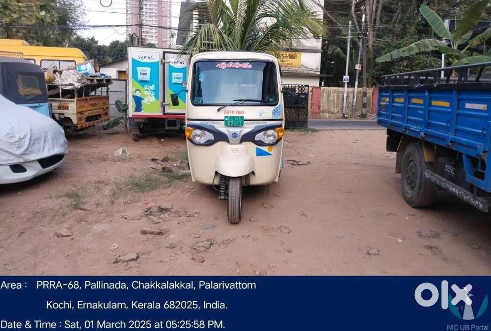 Lady driver for ape electric auto