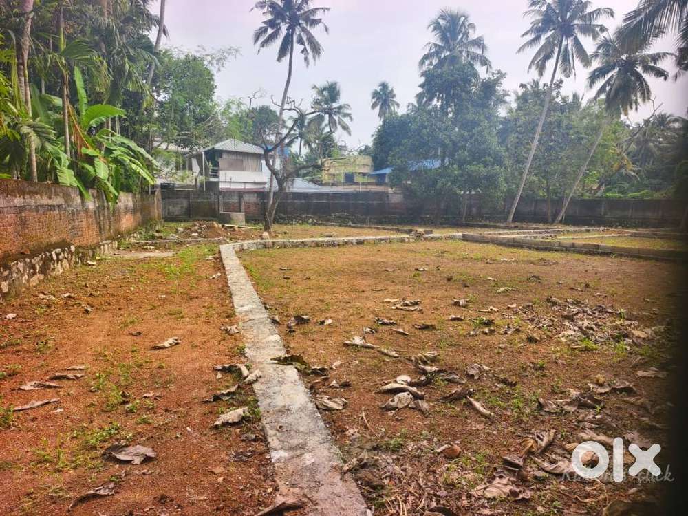 IDK-232222 Plottable Dry Land for Sale at Kumarapuram