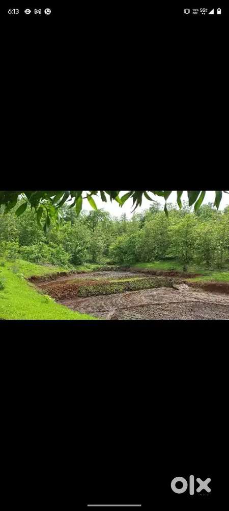 आदिवासी जागा