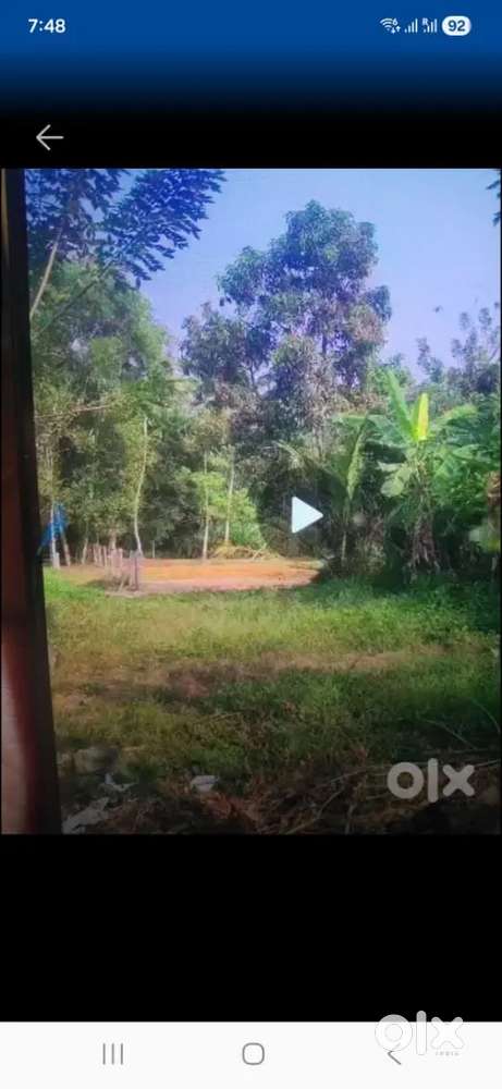 5 cent squire plot for sale