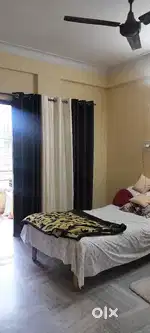 Need a female room mate