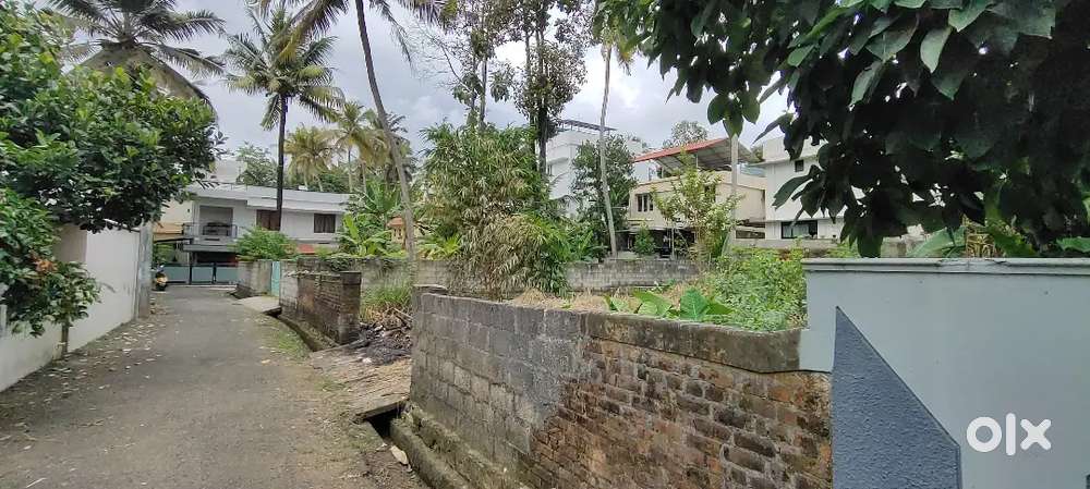 Maruthankuzhi - 11 Cent square plot for Sale