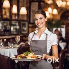 Waiters and waitress required for a cafe in panampilly nagar