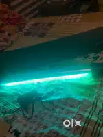 Camera Mann light
