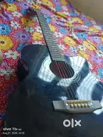 Professional  Semi-Accoustic Guitar