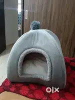 Cat and puppy Sleeping house