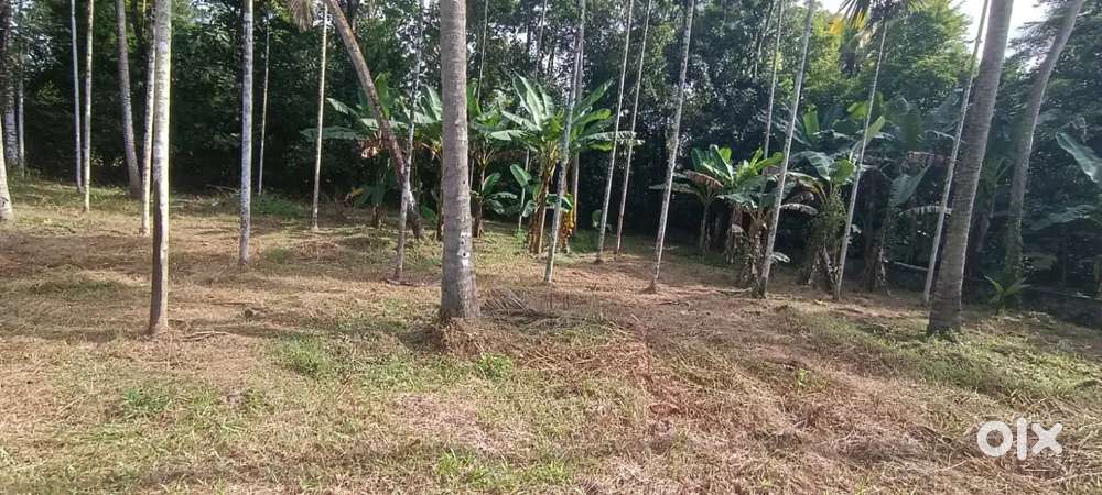 4,5, മുതൽ റെസിഡൻഷ്യൽ പ്ലോട്ടുകൾ  - NEAR ANGAMALY APPOLLO HOSPITAL