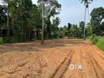 21 cent plot for sale!  21 cent plot വിൽപ്പനയ്ക്ക്​​​​​​​​​​​​​​​​!