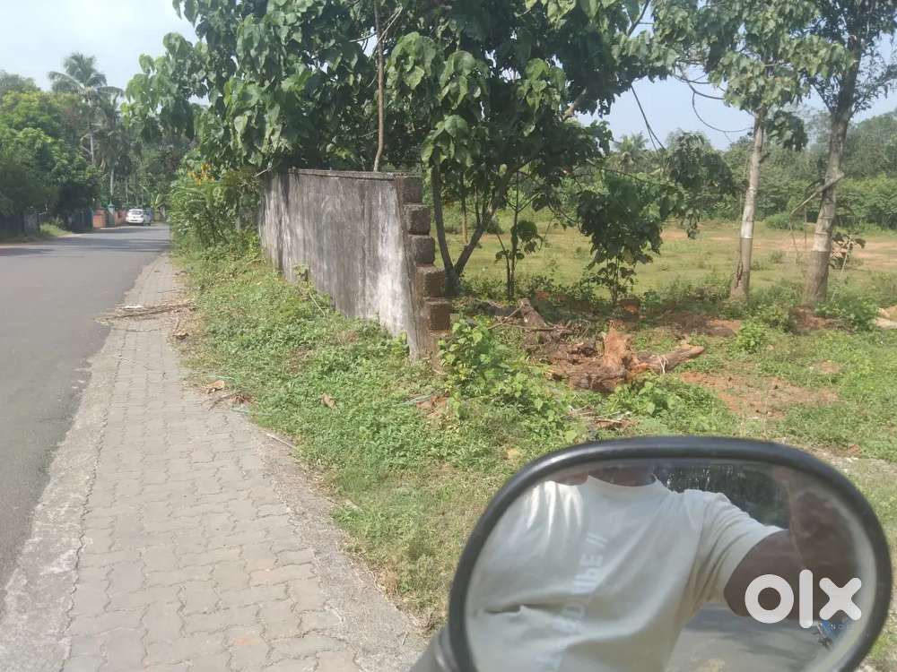 ORGINAL LAND FOR SALE 1. ACRE PUKKATUPADY MALAYIDAMTHURUTH