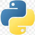 PYTHON C PROGRAMMING CODING CLASSES COMPUTER PROGRAMMING LANGUAGES