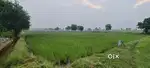 Main road see 1 killa ander 4company hai pass mai or hospital or pump