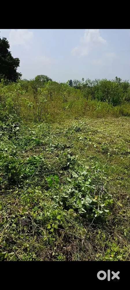 1000 square feet plot Arjant sell karna hai