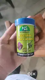 NS freeze dried tubifex worms